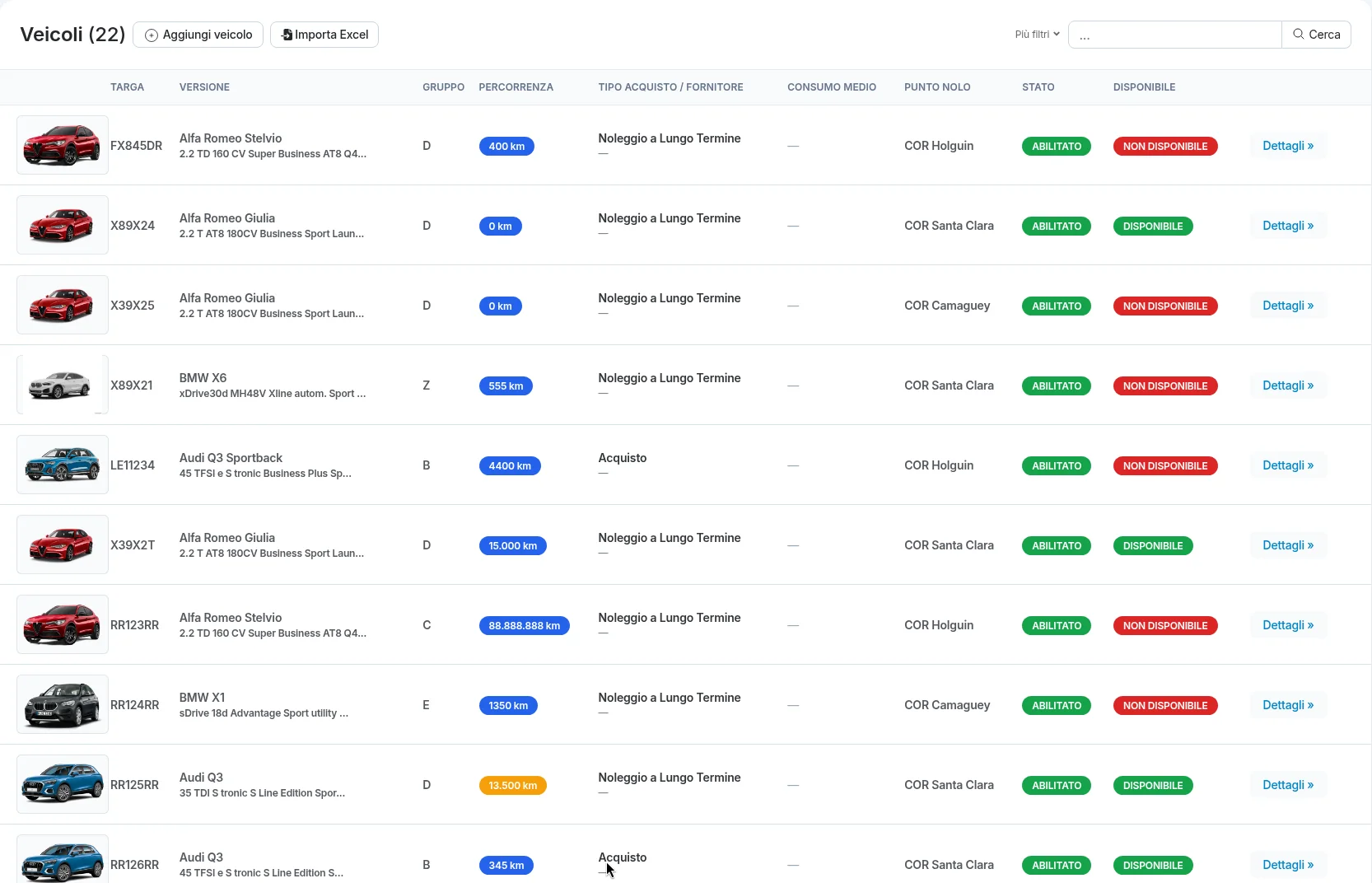 Elenco dei veicoli con percorrenza, punto nolo e disponibilità, e il pulsante per importarli da Excel